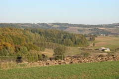 DSC04997