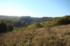 DSC04999