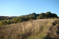 DSC05004