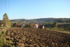 DSC05006