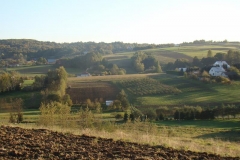 DSC05009