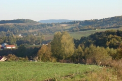 DSC05015