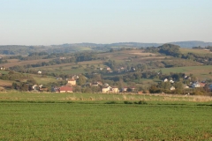 DSC05017