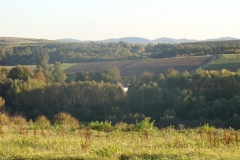 DSC05022