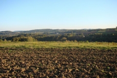 DSC05023