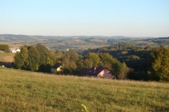 DSC05029