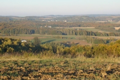 DSC05045