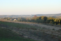 DSC05048