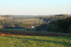 DSC05051