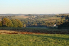 DSC05052