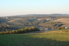 DSC05054
