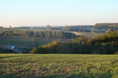 DSC05055