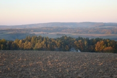 DSC05063