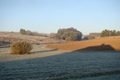 DSC05075