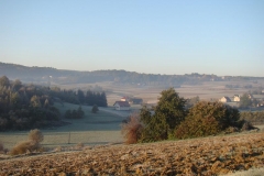 DSC05077