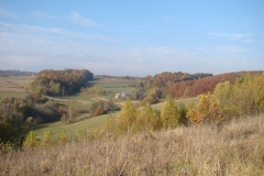 DSC05085