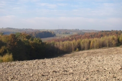DSC05089