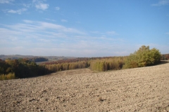 DSC05090