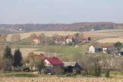 DSC05103