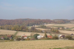 DSC05104