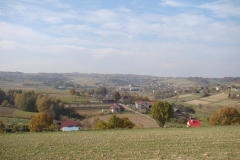 DSC05105