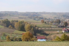 DSC05107
