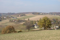 DSC05110