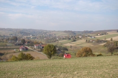 DSC05113