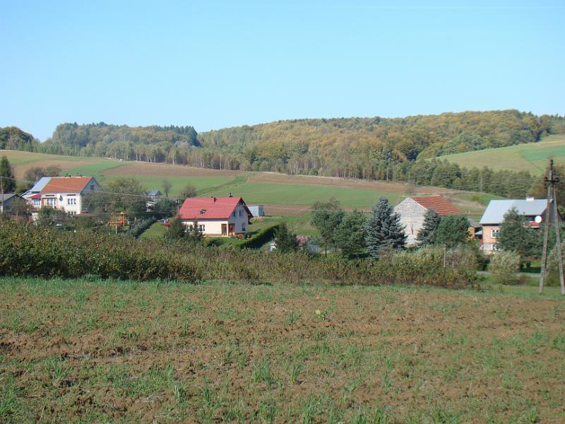 paĹĽdziernik2012 008