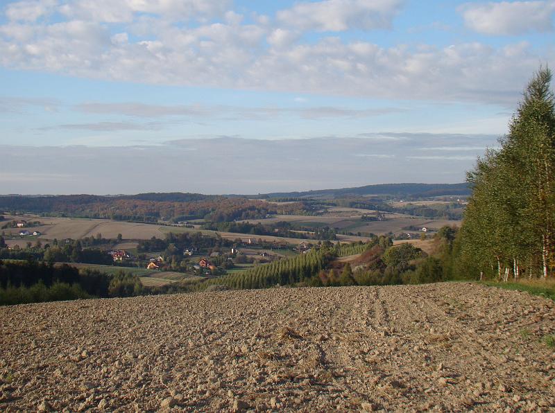 DSC07969