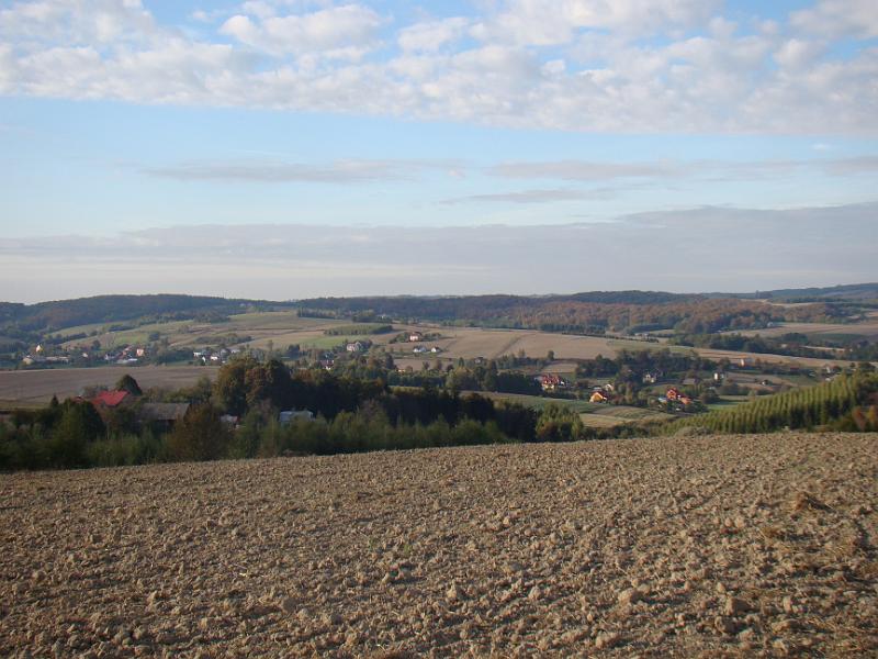 DSC07970