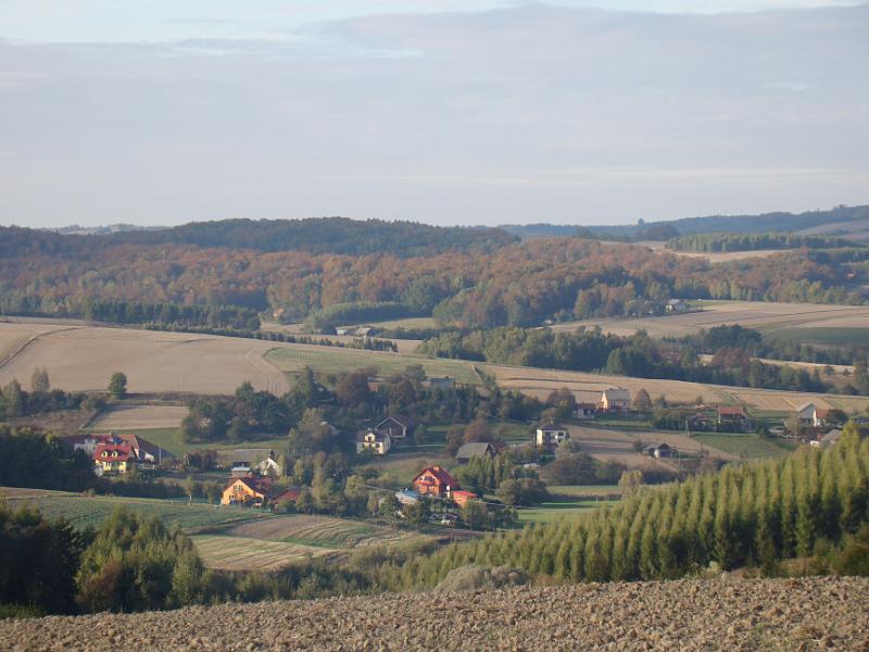 DSC07971