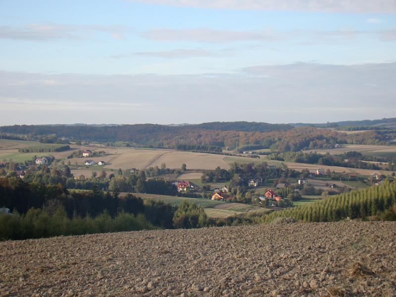 DSC07972