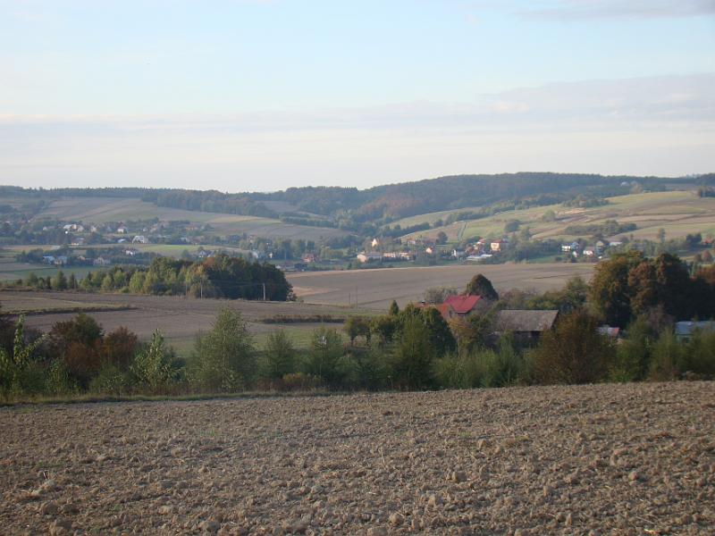 DSC07973