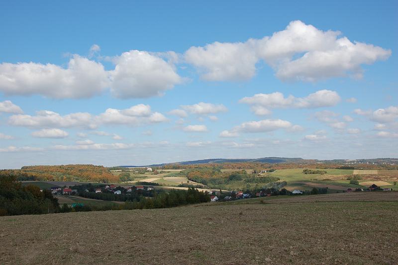 DSC_4117