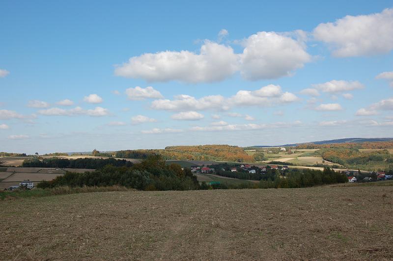 DSC_4118