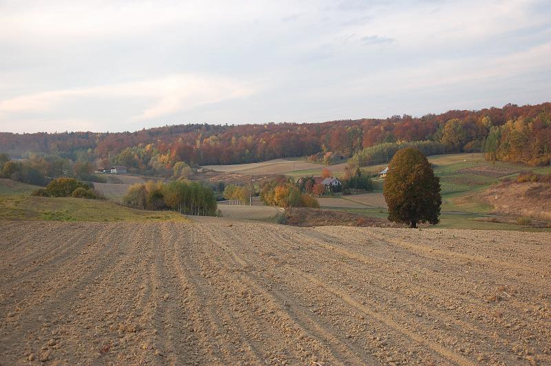 DSC_4148