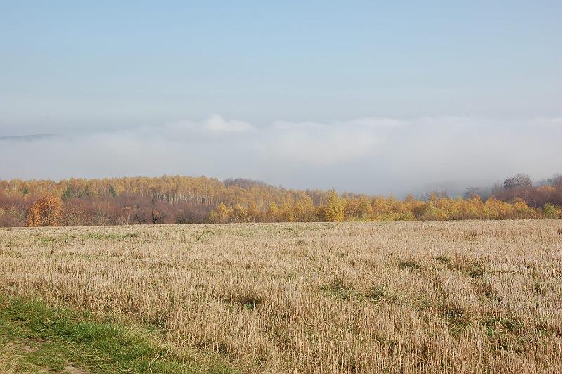 DSC_4473