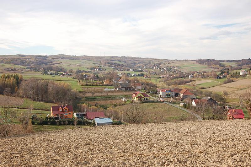 DSC_4564