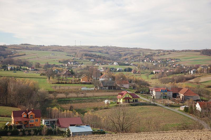 DSC_4568