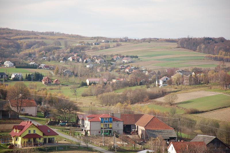 DSC_4571