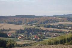 DSC07971