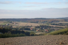 DSC07972