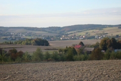 DSC07973