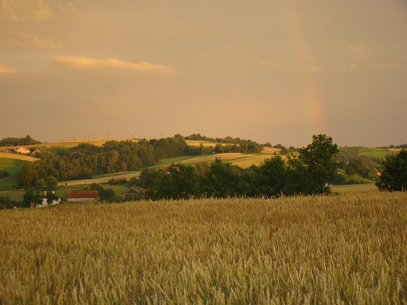 DSC01752