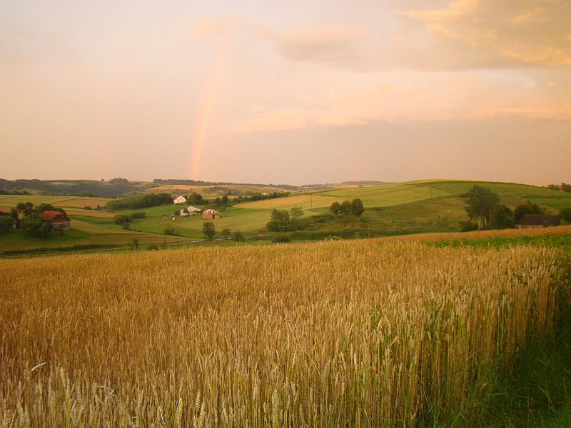 DSC01755