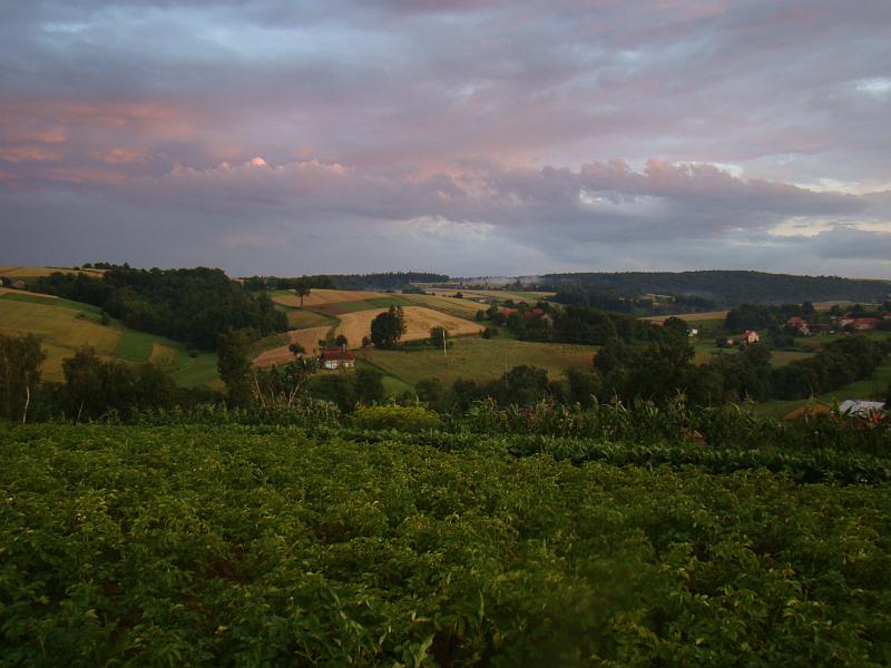 DSC01766