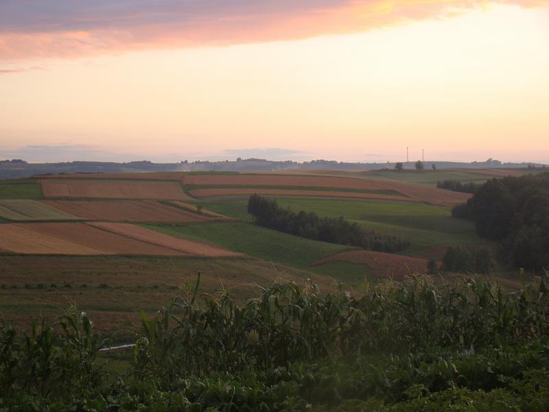 DSC01773