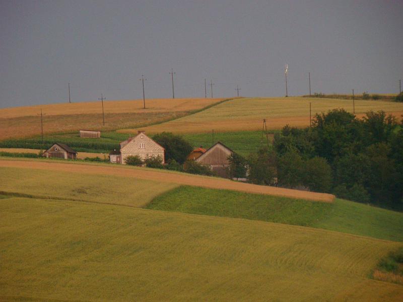 DSC01778