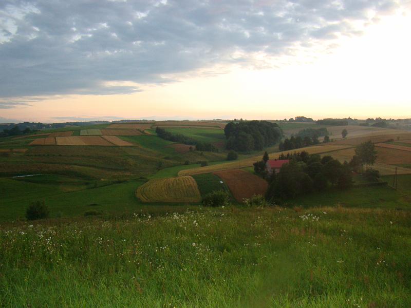 DSC01794